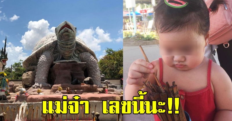 แม่ๆเลขนี้นะ หนูน้อย เขย่าเซียมซีขอโชค พญาเต่างอย เลขโผล่เต็มๆ งวด 16 ธ.ค. นี้มาแน่
