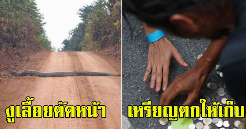เผย 5 ลางบอกเหตุ เตรียมเข้าประตูเศรษฐี เงินทองไหลมาเทมา